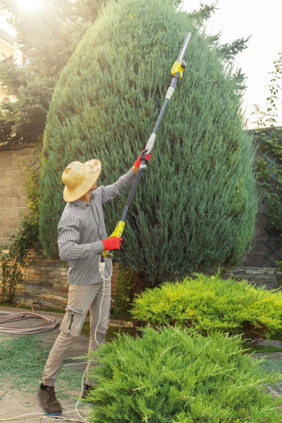 Best Leaf Removal  in Tioga Terrace, NY